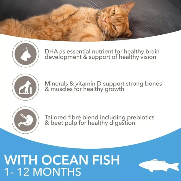 IAMS - Dry Cat Food for Kittens - Wheat Free - Ocean Fish - 3kg