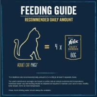 FELIX Tasty Shreds Mixed Selection in Gravy Wet Cat Food 40x80g - Image 2